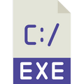 type_1c.exe